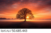 landscape black sunburst ai generated. Стоковое AI-изображение, AI-художник Vectorwin / Фотобанк Лори