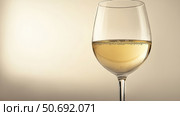pinot white wine isolated. Стоковое фото, фотограф Vectorwin / Фотобанк Лори