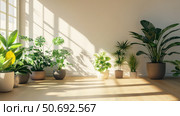 fiddleleaf room plants. Стоковое фото, фотограф Vectorwin / Фотобанк Лори