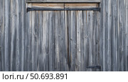 reclaimed barn wood grey. Стоковое фото, фотограф Vectorwin / Фотобанк Лори