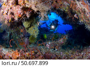A diver peers through a coral encrusted archway, Papua New Guinea. Стоковое фото, фотограф Steve Jones/Stocktrek Images / ТАСС / Фотобанк Лори