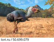 Titanis walleri, a flightless carnivorous bird from the Pleistocene epoch. Стоковое фото, фотограф Sergey Krasovskiy/Stocktrek Images / ТАСС / Фотобанк Лори