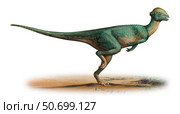 Stegoceras validus, a prehistoric era dinosaur. Стоковое фото, фотограф Sergey Krasovskiy/Stocktrek Images / ТАСС / Фотобанк Лори