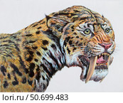 Close-up headshot of Megantereon, Pliocene Epoch. Стоковое фото, фотограф Mark Hallett/Stocktrek Images / ТАСС / Фотобанк Лори