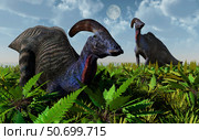 A pair of Parasaurolophus duckbill dinosaurs grazing. Стоковое фото, фотограф Mark Stevenson/Stocktrek Images / ТАСС / Фотобанк Лори