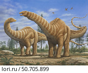 A pair of Apatosaurus dinosaurs. Стоковое фото, фотограф Phil Wilson/Stocktrek Images / ТАСС / Фотобанк Лори