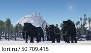 A herd of Woolly Mammoths migrate to a warmer climate in the Pleistocene Age. Стоковое фото, фотограф Corey Ford/Stocktrek Images / ТАСС / Фотобанк Лори