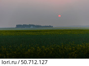 The Sun setting in forest fire smoke over a canola field in southern Alberta, Canada. Стоковое фото, фотограф Alan Dyer/Stocktrek Images / ТАСС / Фотобанк Лори