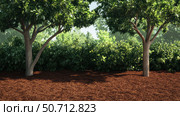 landscape tree mulch. Стоковое фото, фотограф Vectorwin / Фотобанк Лори