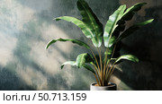 bamboo tall house plant. Стоковое фото, фотограф Vectorwin / Фотобанк Лори