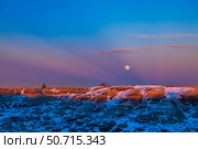 Winter moonrise in crepuscular rays over the badlands of Horseshoe Canyon, Alberta, Canada. Стоковое фото, фотограф Alan Dyer/Stocktrek Images / ТАСС / Фотобанк Лори