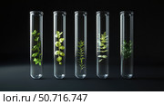 style plant test tube. Стоковое фото, фотограф Vectorwin / Фотобанк Лори