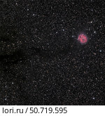 Cocoon Nebula Phillip Jones/Stocktrek Images. Стоковое фото, агентство ТАСС / Фотобанк Лори