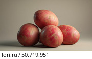 photorealistic potato red. Стоковое фото, фотограф Vectorwin / Фотобанк Лори