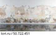 moisture water damage wall. Стоковое фото, фотограф Vectorwin / Фотобанк Лори