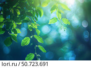 Sunlight filtering through fresh green leaves creating a bokeh effect. Стоковое AI-изображение, AI-художник Иван Рябоконь / Фотобанк Лори