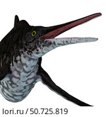 Shonisaurus ichthyosaur head. Стоковое фото, фотограф Corey Ford/Stocktrek Images / ТАСС / Фотобанк Лори