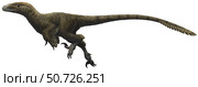 Utahraptor ostrommaysorum Emily Willoughby/Stocktrek Images. Стоковое фото, агентство ТАСС / Фотобанк Лори
