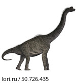 Brachiosaurus dinosaur. Стоковое фото, фотограф Corey Ford/Stocktrek Images / ТАСС / Фотобанк Лори
