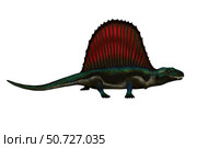 Dimetrodon reptile from the Permian period, side view on white background. Стоковое фото, фотограф Corey Ford/Stocktrek Images / ТАСС / Фотобанк Лори
