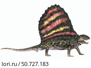 Dimetrodon reptile from the Permian period. Стоковое фото, фотограф Corey Ford/Stocktrek Images / ТАСС / Фотобанк Лори