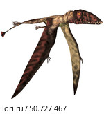 Dimorphodon pterosaur, white background. Стоковое фото, фотограф Corey Ford/Stocktrek Images / ТАСС / Фотобанк Лори