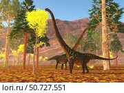 Mamenchisaurus youngi sauropod dinosaurs munching on treetops. Стоковое фото, фотограф Corey Ford/Stocktrek Images / ТАСС / Фотобанк Лори