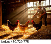 A man is feeding chickens in a barn. Стоковое AI-изображение, AI-художник Ярославский Максим / Фотобанк Лори