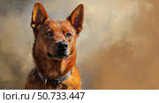 breed red heeler. Стоковое фото, фотограф Vectorwin / Фотобанк Лори