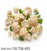 Fresh cauliflower florets and mint leaves arranged on white background. Стоковое AI-изображение, AI-художник Иван Рябоконь / Фотобанк Лори