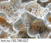 3d seamless pattern of white coral reef macro view. Стоковое AI-изображение, AI-художник Олег Яцкевич / Фотобанк Лори