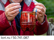Собранная малина на дачном участке. Стоковое фото, фотограф О. Король/Бизнес Online / ТАСС / Фотобанк Лори