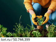 Gardener Tending to Flowers by a Tranquil Body of Water in a Sunny Outdoor Setting. Стоковое AI-изображение, AI-художник Юлия Гапеенко / Фотобанк Лори