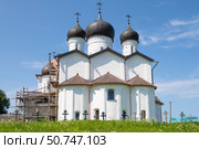 Собор Троицы Живоначальной (1569г.) Михайло-Клопского монастыря солнечным июньским днем. Новгородская область, Россия. Стоковое фото, фотограф Виктор Карасев / Фотобанк Лори