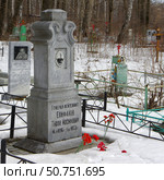 Могила Т.И. Епифанова. Михайловское кладбище, Екатеринбург (2021 год). Редакционное фото, фотограф Алексей Иванов / Фотобанк Лори