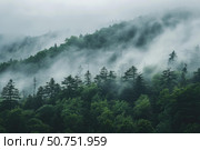 Fog rolling over evergreen trees in appalachian mountains. Стоковое AI-изображение, AI-художник Иван Рябоконь / Фотобанк Лори