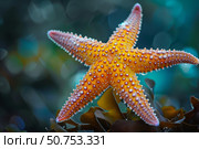 Orange starfish resting on seaweed in stunning underwater scene. Стоковое AI-изображение, AI-художник Иван Рябоконь / Фотобанк Лори