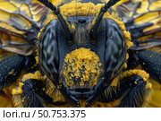 Bumblebee covered in pollen, a close up of nature's pollinator. Стоковое AI-изображение, AI-художник Иван Рябоконь / Фотобанк Лори