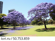 Blooming jacaranda trees painting the park purple in vibrant spring display. Стоковое AI-изображение, AI-художник Иван Рябоконь / Фотобанк Лори
