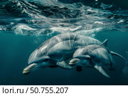 Two dolphins swimming together near ocean surface. Стоковое AI-изображение, AI-художник Иван Рябоконь / Фотобанк Лори