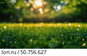 Morning Dew Glistens on Grass as Sunlight Filters Through Trees in a Tranquil Park Setting. Стоковое AI-изображение, AI-художник Юлия Гапеенко / Фотобанк Лори