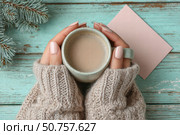 Woman's hands holding a mug of warm coffee. Стоковое AI-изображение, AI-художник Boris Vasilenko / Фотобанк Лори