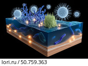 Microbial marine environment with viruses, bacteria, and protozoa interactions under the sea. Стоковое AI-изображение, AI-художник Мария Фадеева / Фотобанк Лори