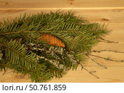 Christmas concept.Christmas bouquet with a bump, green spruce branches. Стоковое фото, фотограф Оксана Шведкова / Фотобанк Лори
