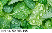 Dewdrops on Lush Green Leaves: A Close-Up of Nature's Beauty. Стоковое AI-изображение, AI-художник Данила Большаков / Фотобанк Лори