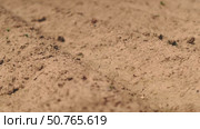 Close-up view of dry soil with cracks and earthy texture, illuminated by sunlight. Concept of agriculture, land preparation, drought or natural ground structure. Стоковое видео, видеограф Енваев Андрей / Фотобанк Лори