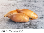 Ripe shallot onion for cooking. Стоковое фото, фотограф Андрей Старостин / Фотобанк Лори