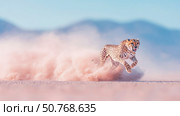 A Cheetah Running Through the Desert, Dust and Speed in a Serene Landscape. Стоковое AI-изображение, AI-художник Данила Большаков / Фотобанк Лори