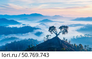 Solitary Tree on Misty Mountaintop at Dawn: Serene Landscape Panorama. Стоковое AI-изображение, AI-художник Данила Большаков / Фотобанк Лори
