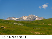 Табун лошадей на плато Лаго-Наки и на фоне горы Оштен. Стоковое фото, фотограф Владимир Глинский / Фотобанк Лори